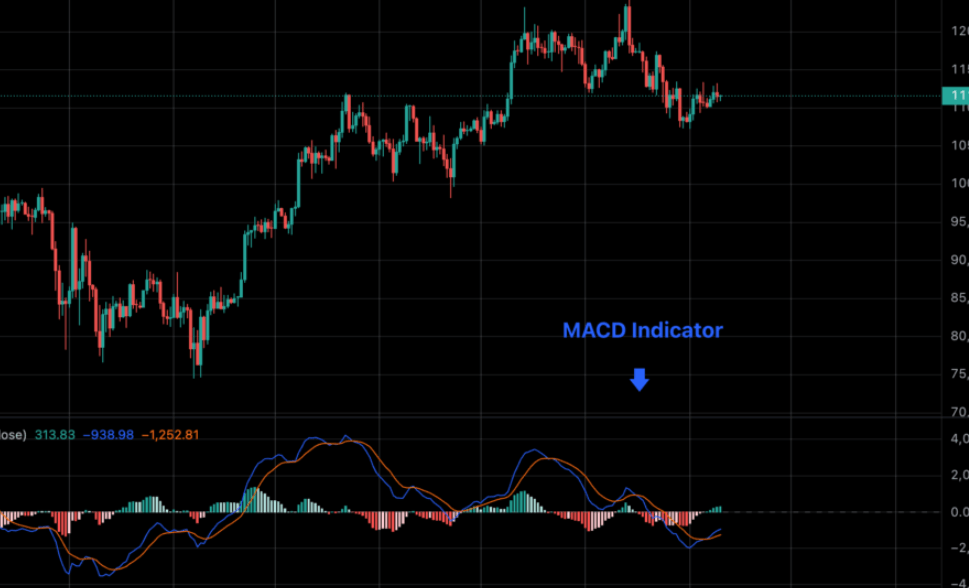 MACD Indicator Explained for Crypto