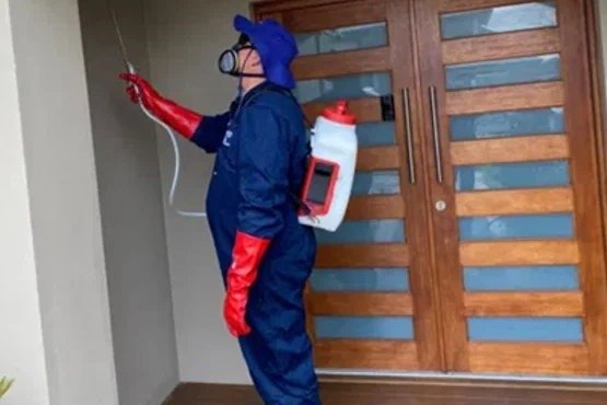 Why Professional Pest Control in South Australia Is Essential for a Healthy Home