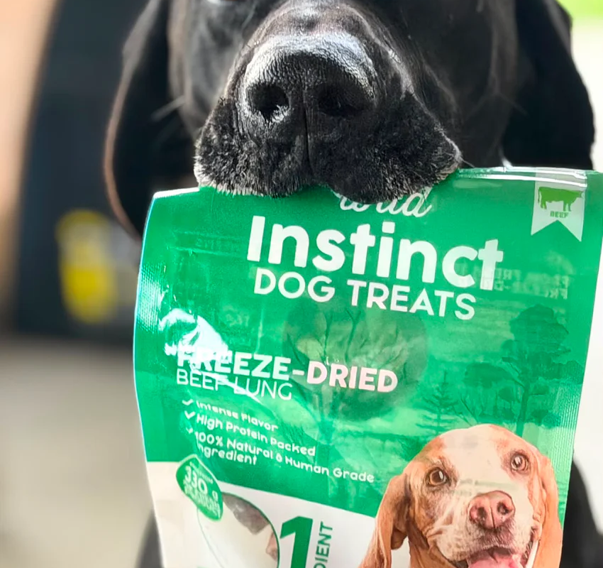 Why Beef Lung Bites for Dogs Are Trending as a Healthy Treat Choice