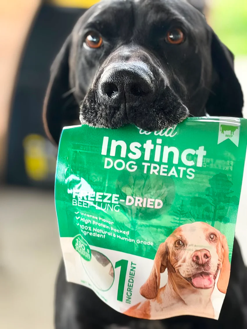 Why Beef Lung Bites for Dogs Are Trending as a Healthy Treat Choice